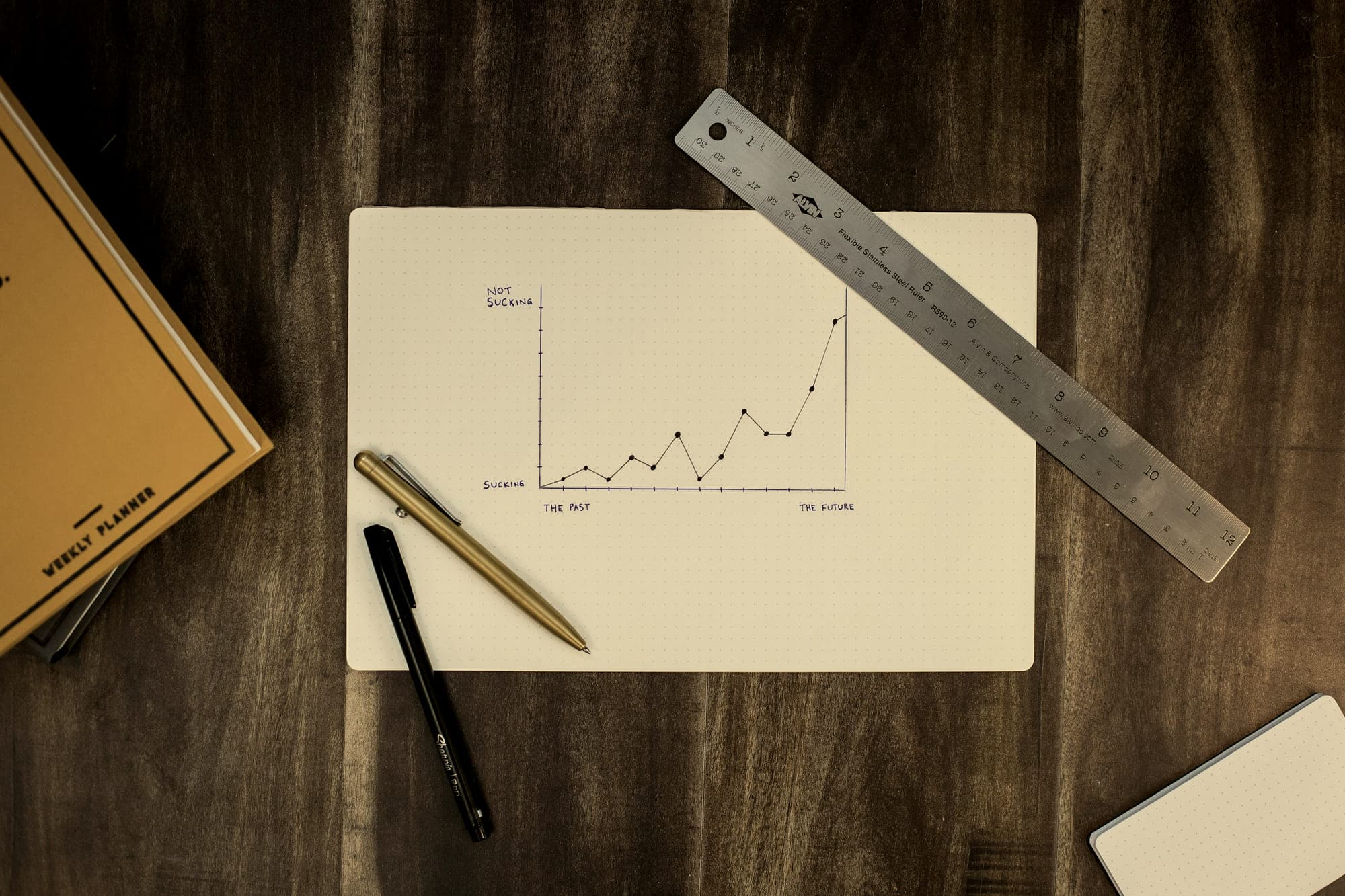A plotted line on graph paper with a rule and pen laid beside it