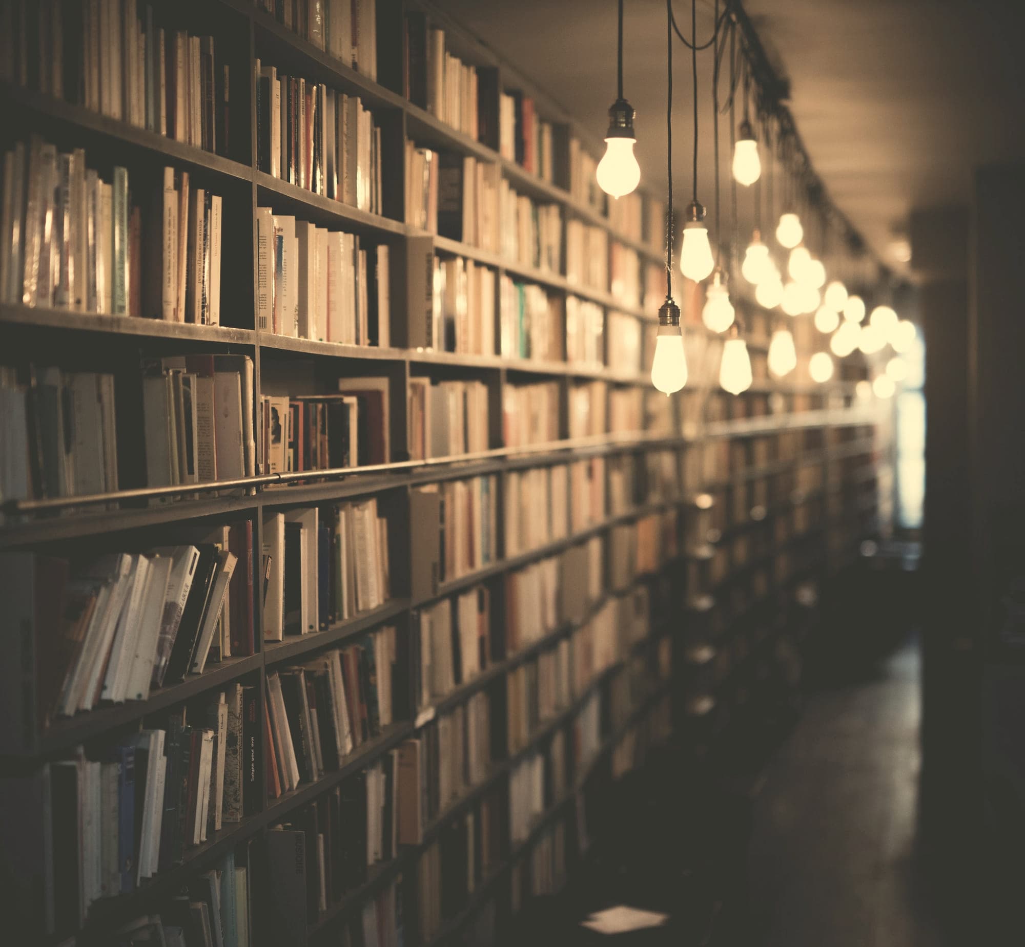 Rows of shelved volumes receding into the dark, lit by hanging bulbs